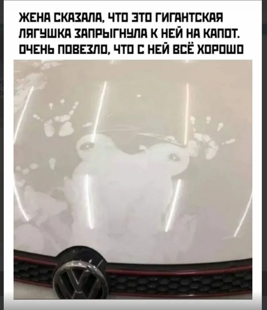 1698665874663.webp