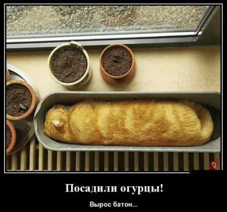 1698685608771.webp