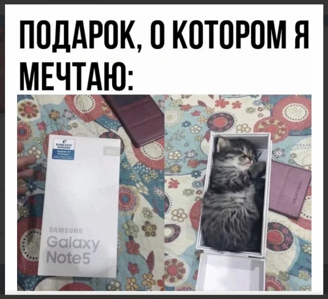 1698741896066.webp