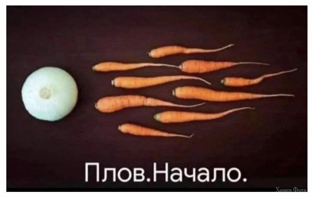 1698741920113.webp