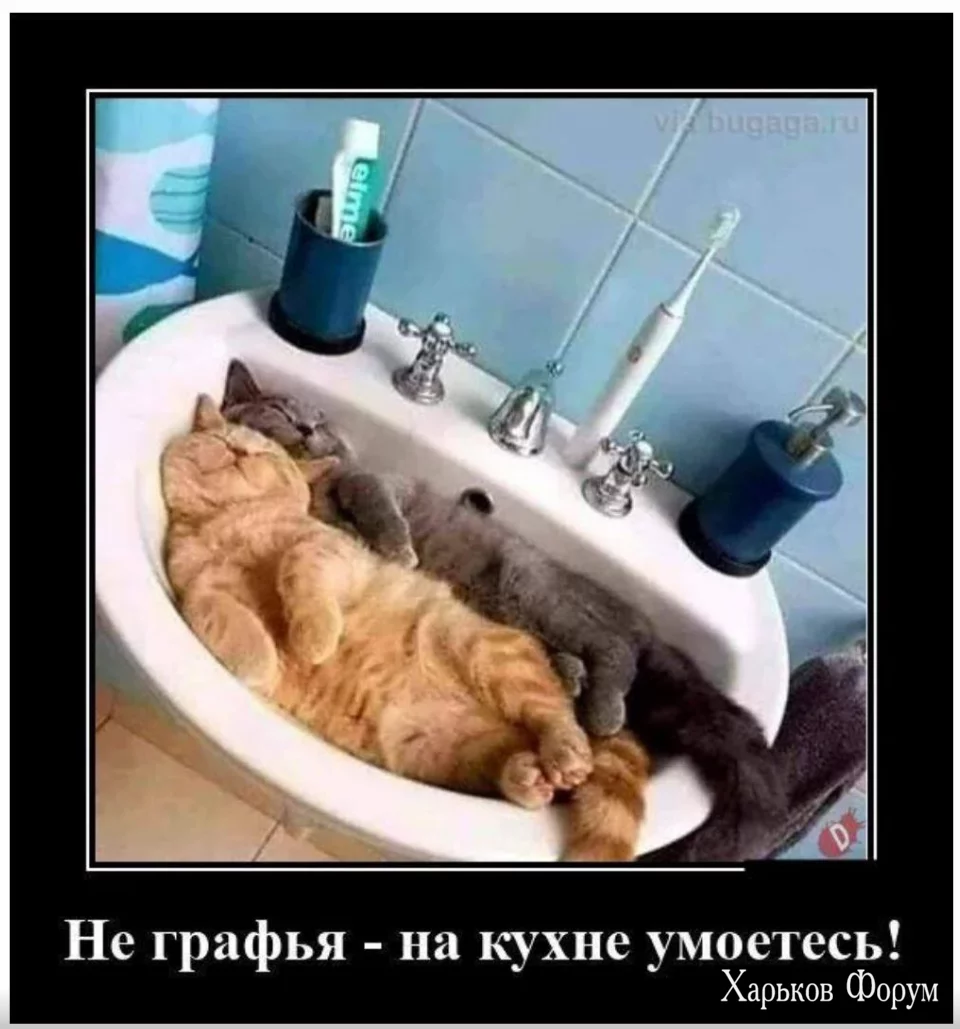 1698846122158.webp
