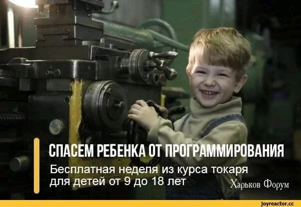 1698fb320eeca7f584d811b.webp