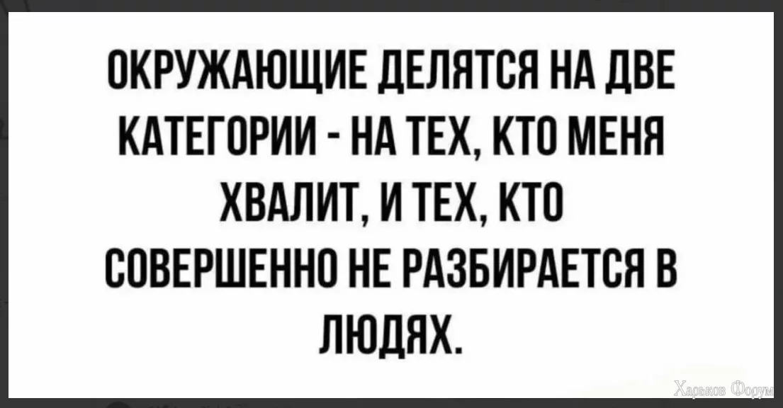 1699044015334.webp