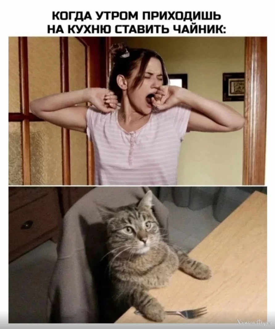 1699099395383.webp