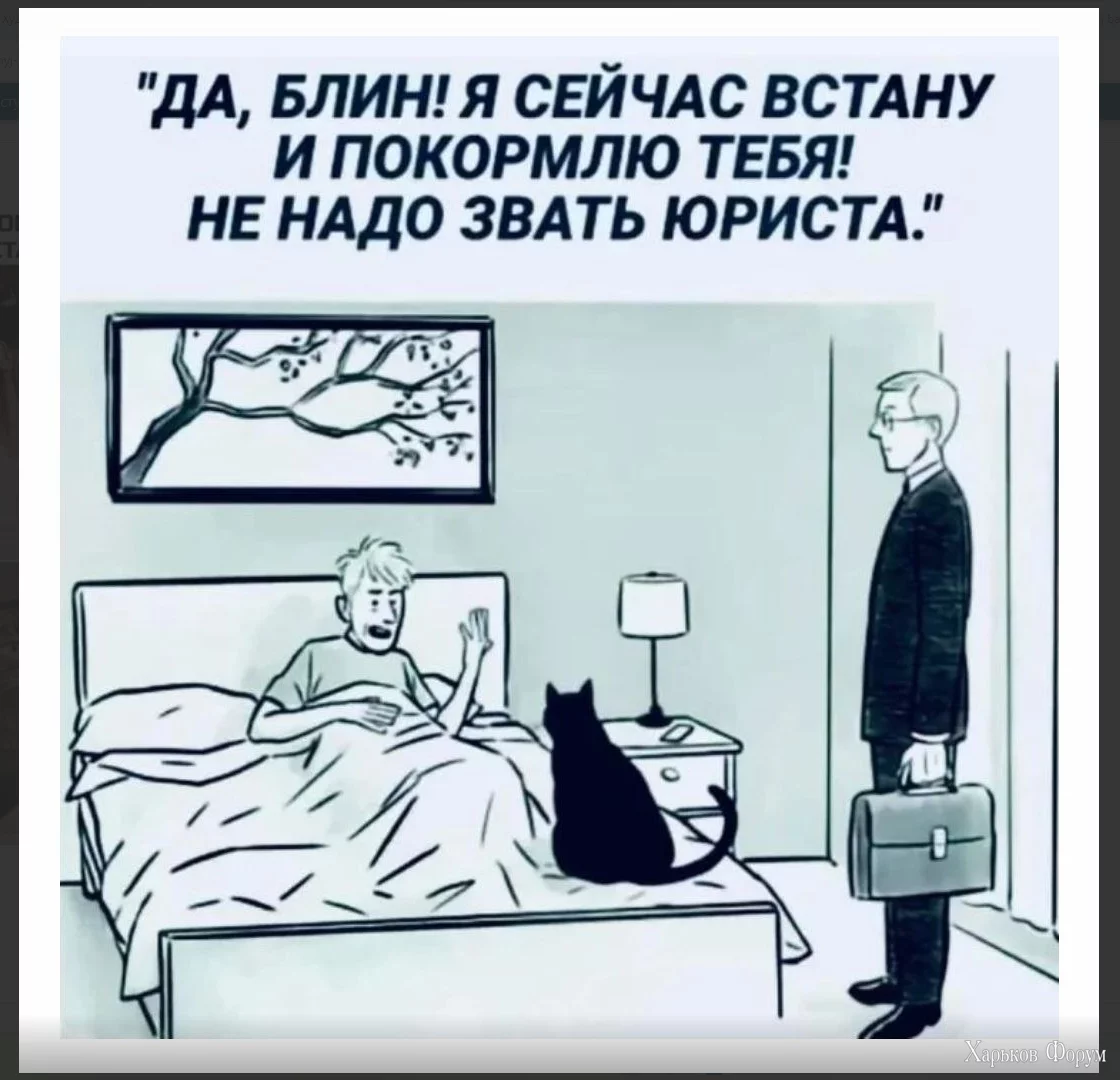 1699099469922.webp