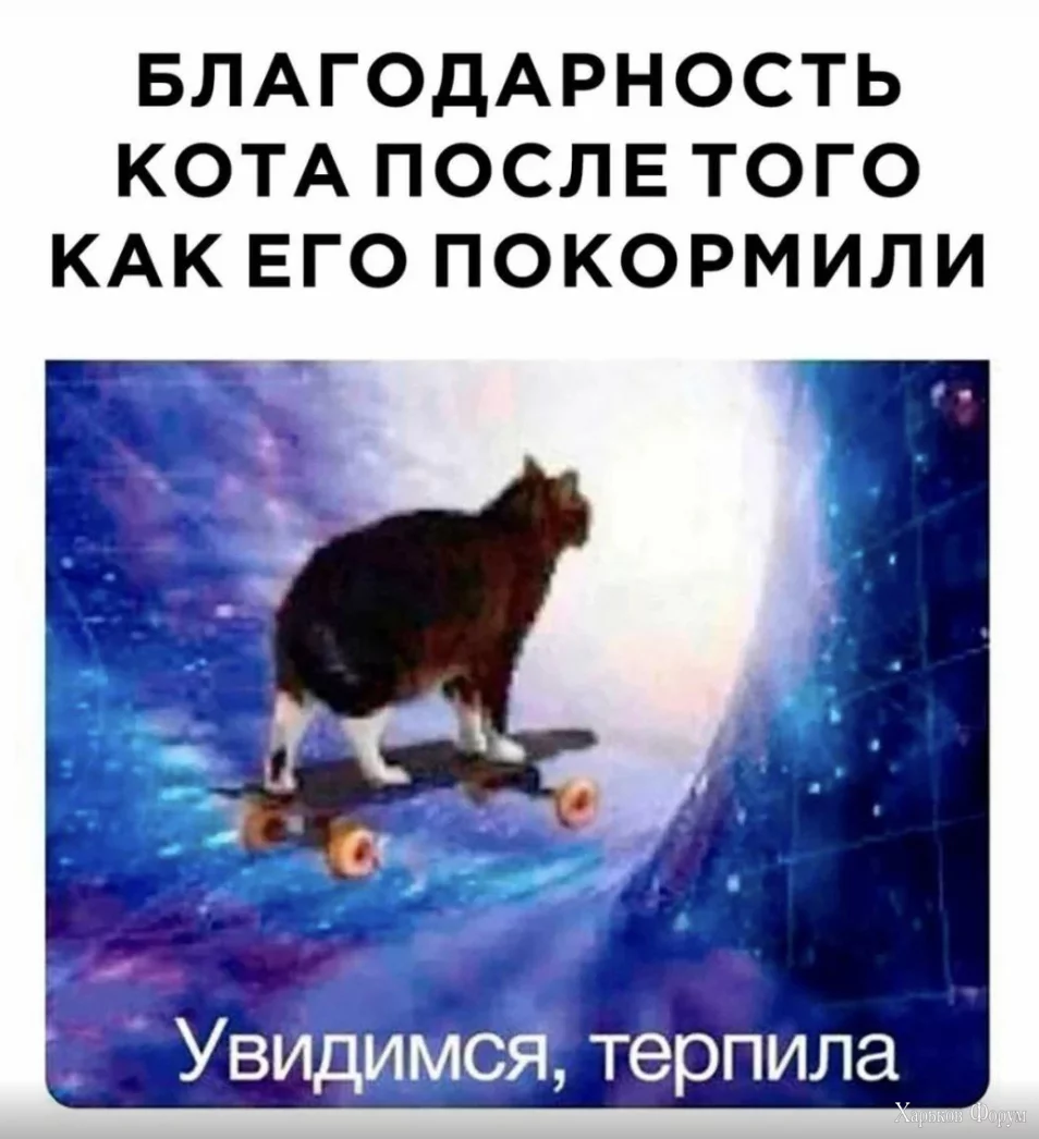 1699291793065.png