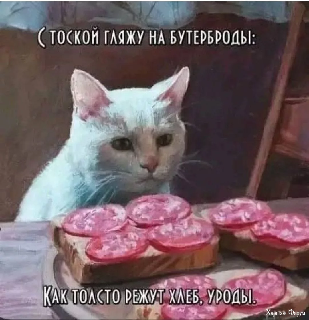 1699353275842.webp