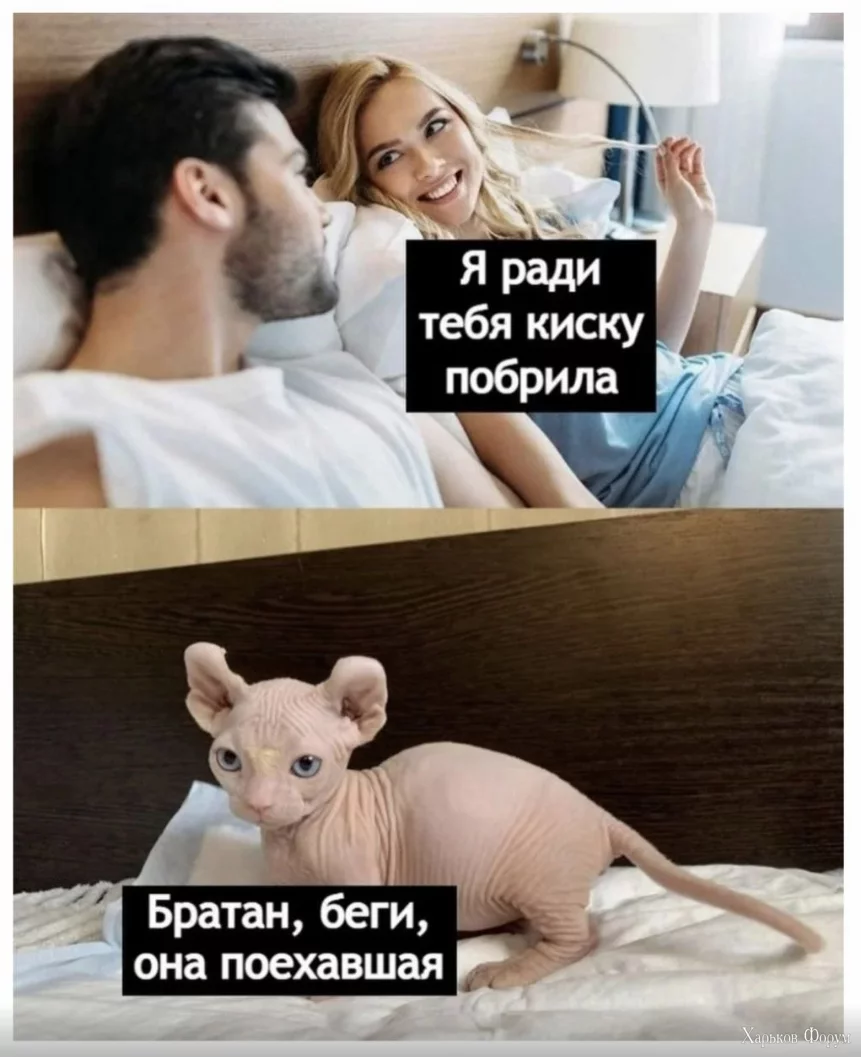 1699448460369.webp