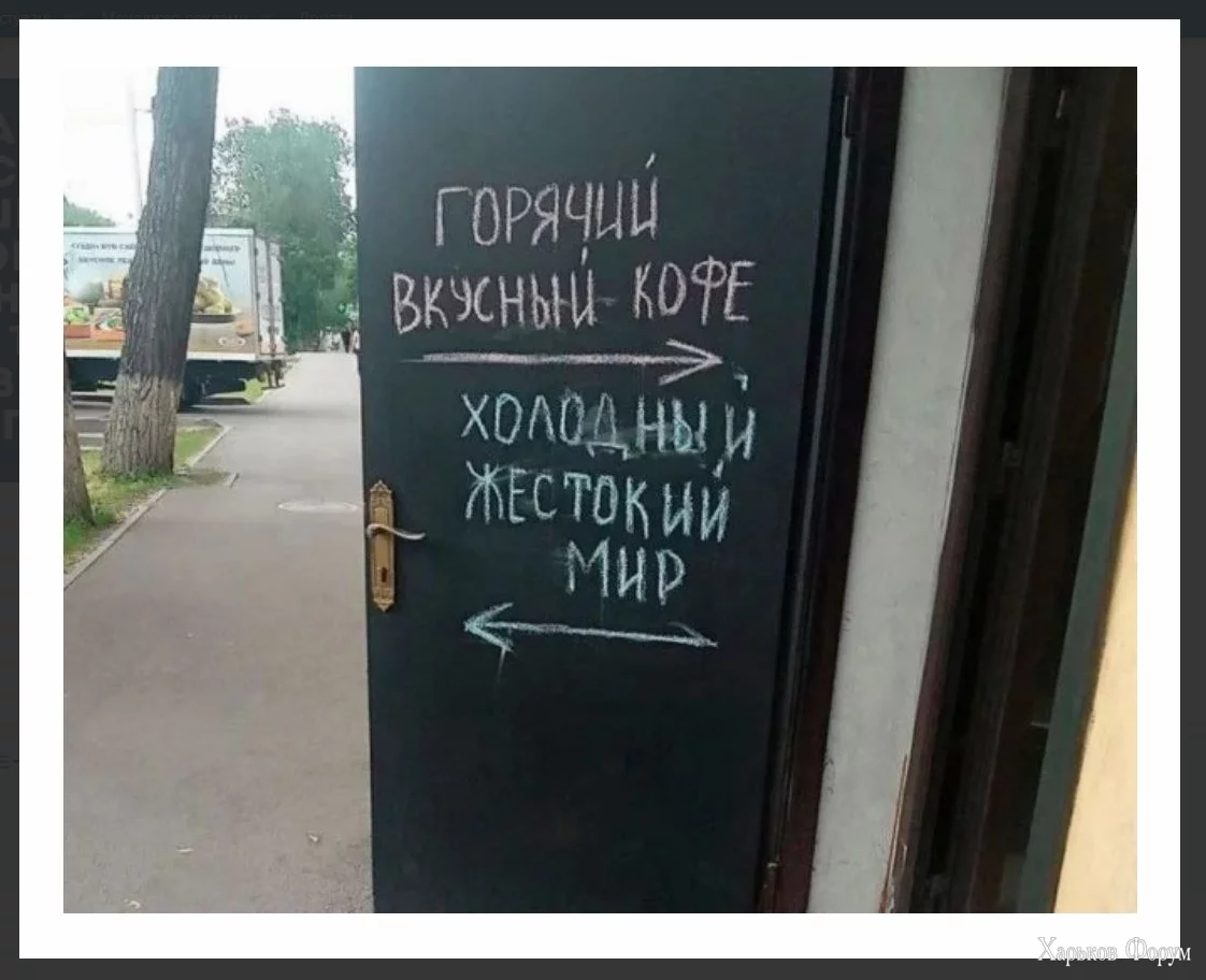 1699518388243.webp