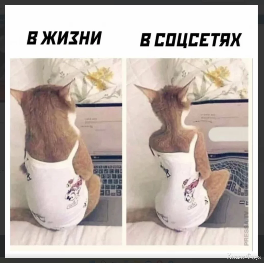 1699639865730.webp