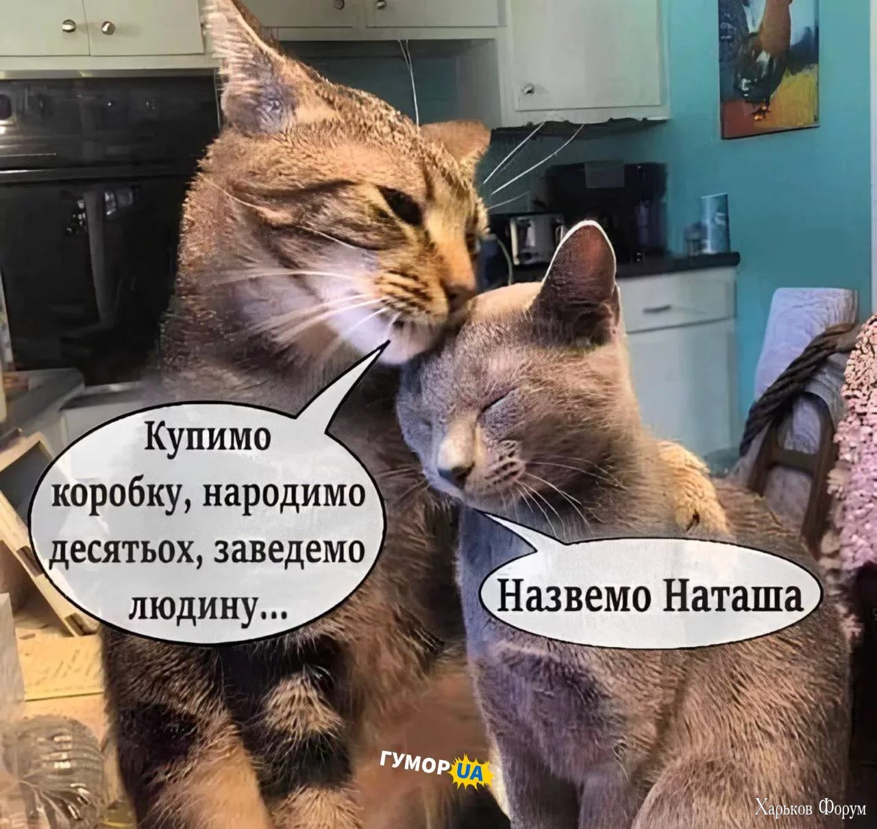 1699649575672.webp