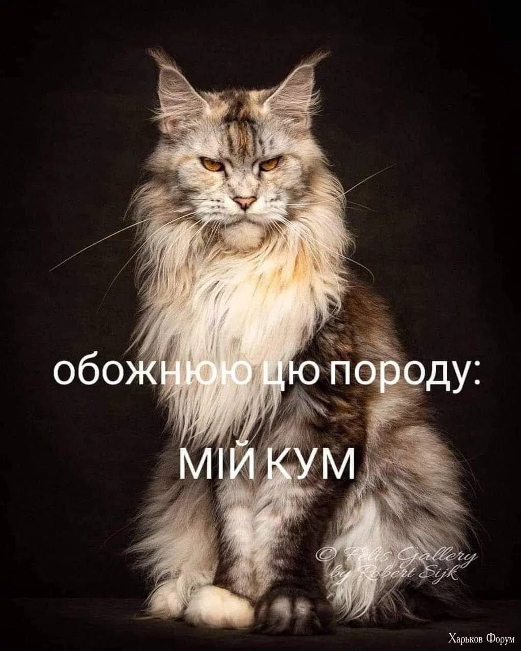 1699655826512.webp