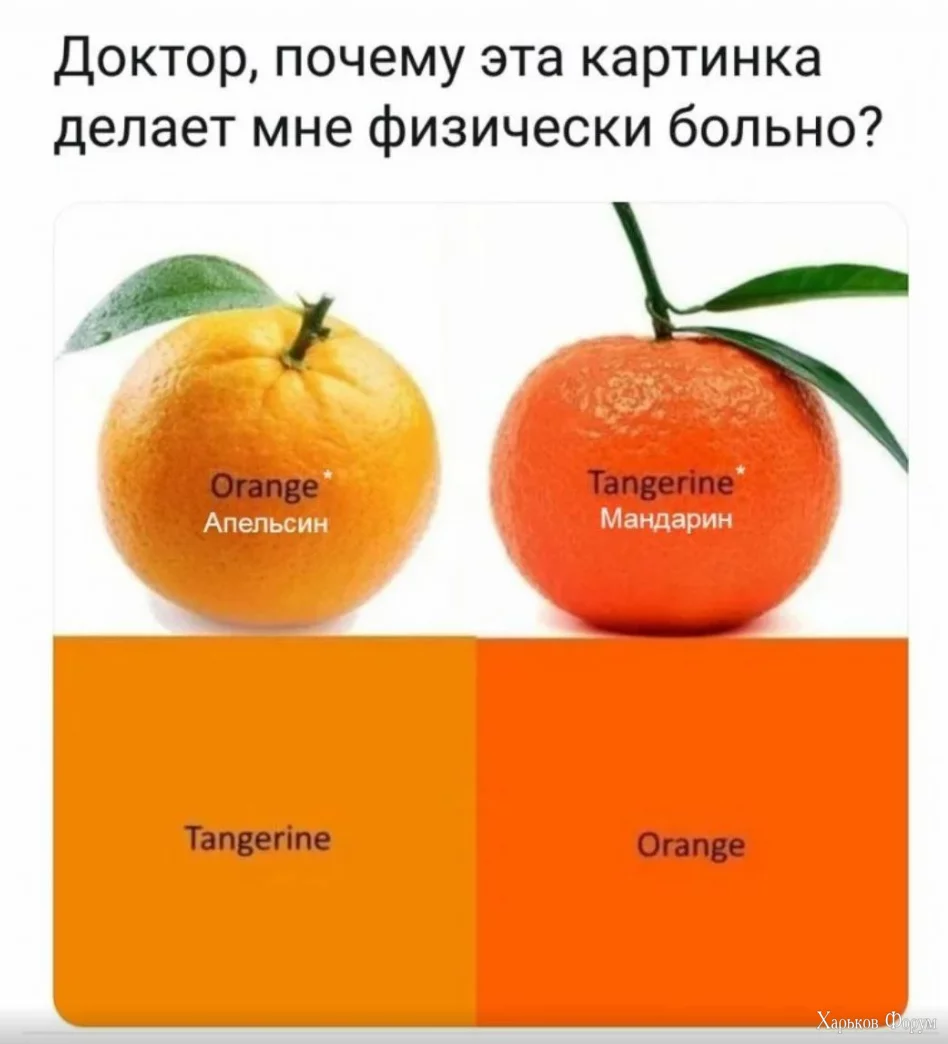 1699800495336.webp