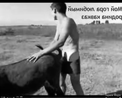 1699963989868.webp