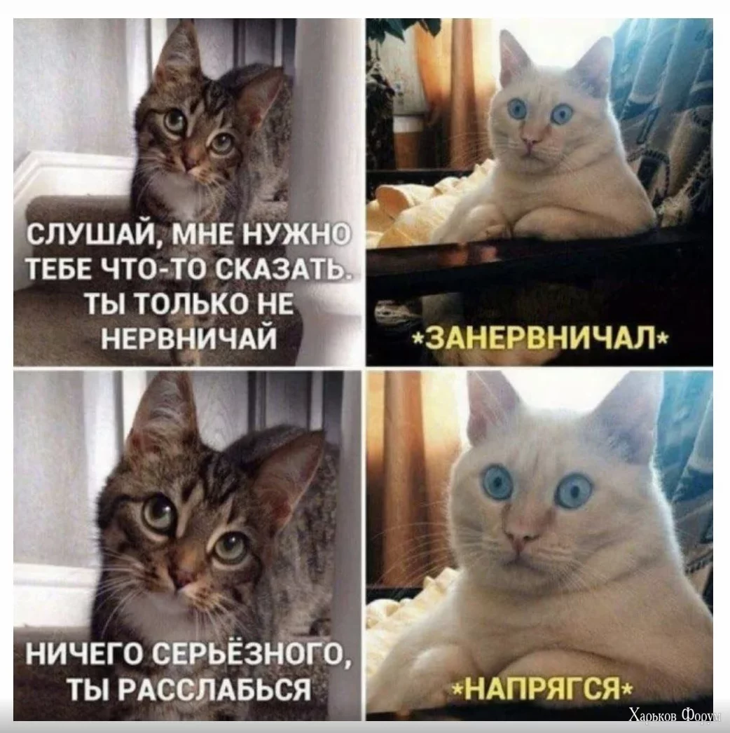 1699972450911.webp