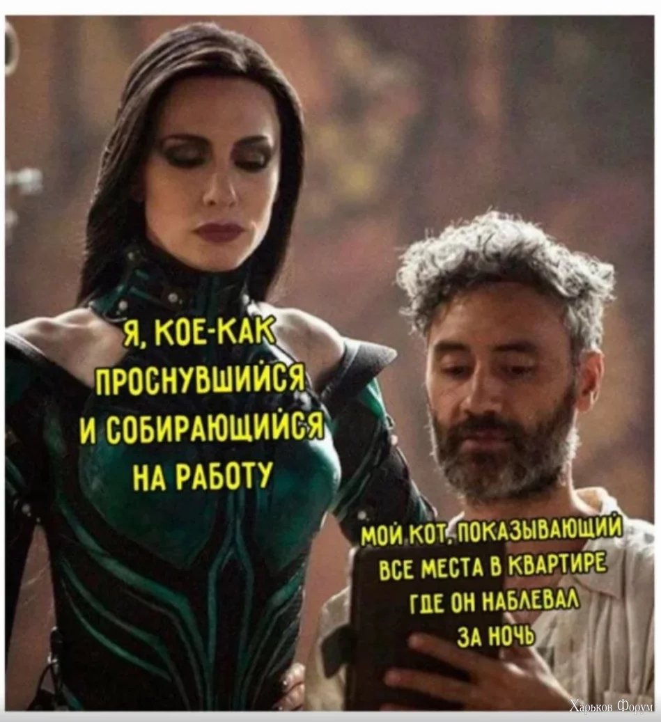 1699972512828.webp