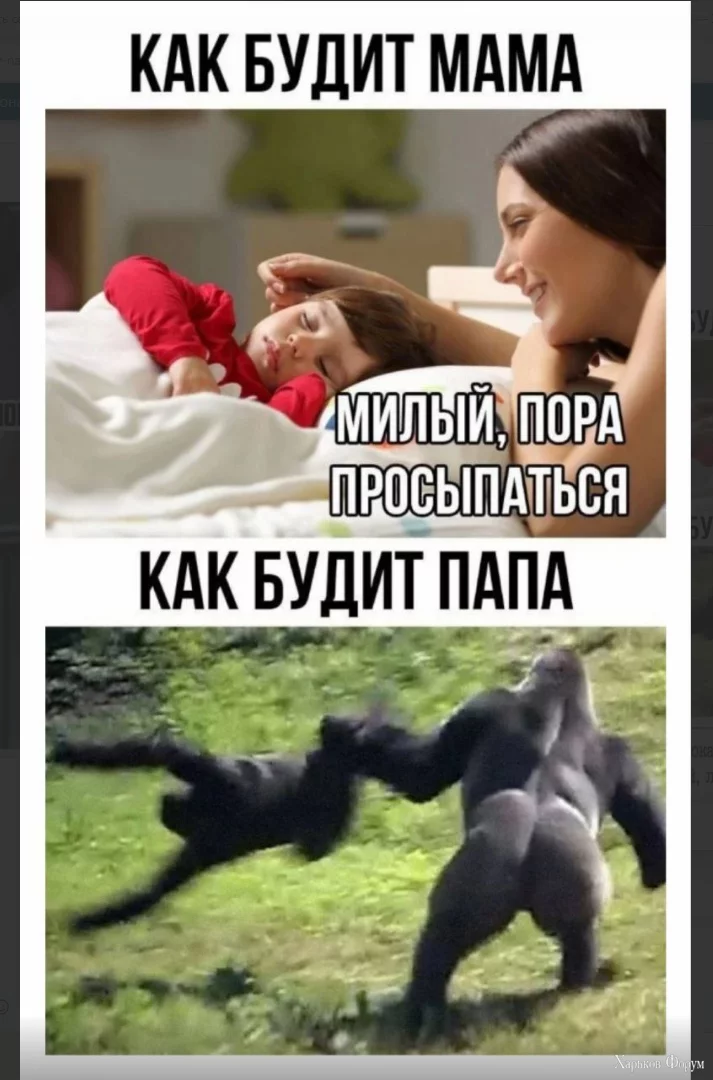 1699972563152.webp