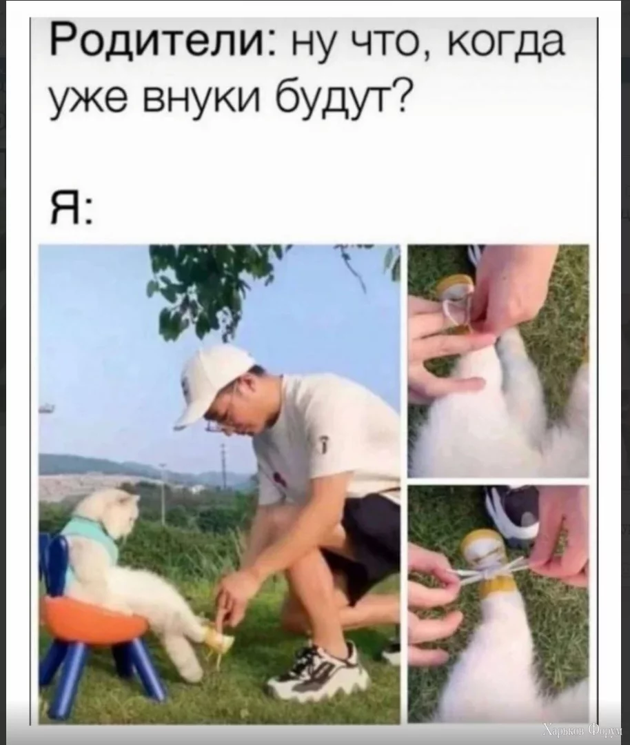1699972587120.webp