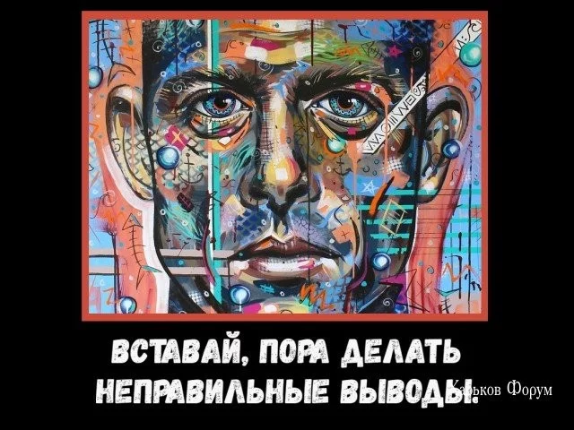 16a6b7762466dd5222d1511.webp