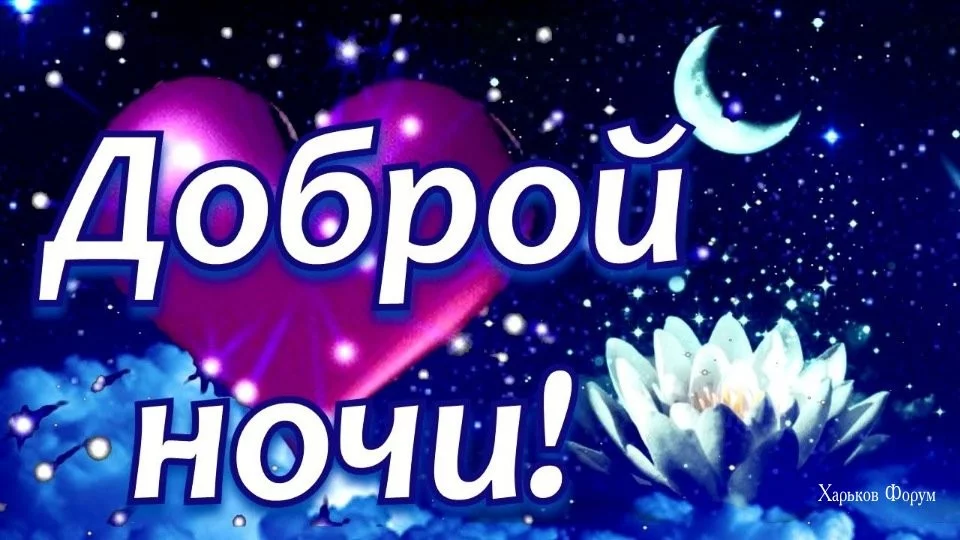 16b1cd4cc554f202b8989.webp