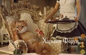 16baf492283d54d8044bf86.webp