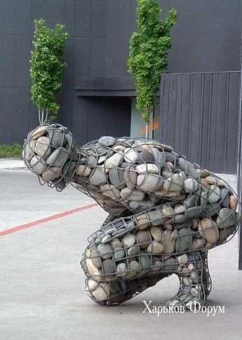 16c21e719572455c2700574.webp