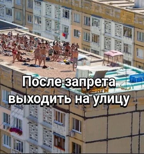 16cbfb53c9391f16f4c2fae8831a76c3.webp