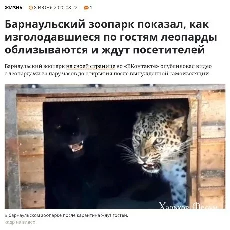 16f6e77e9297af8c17084.webp
