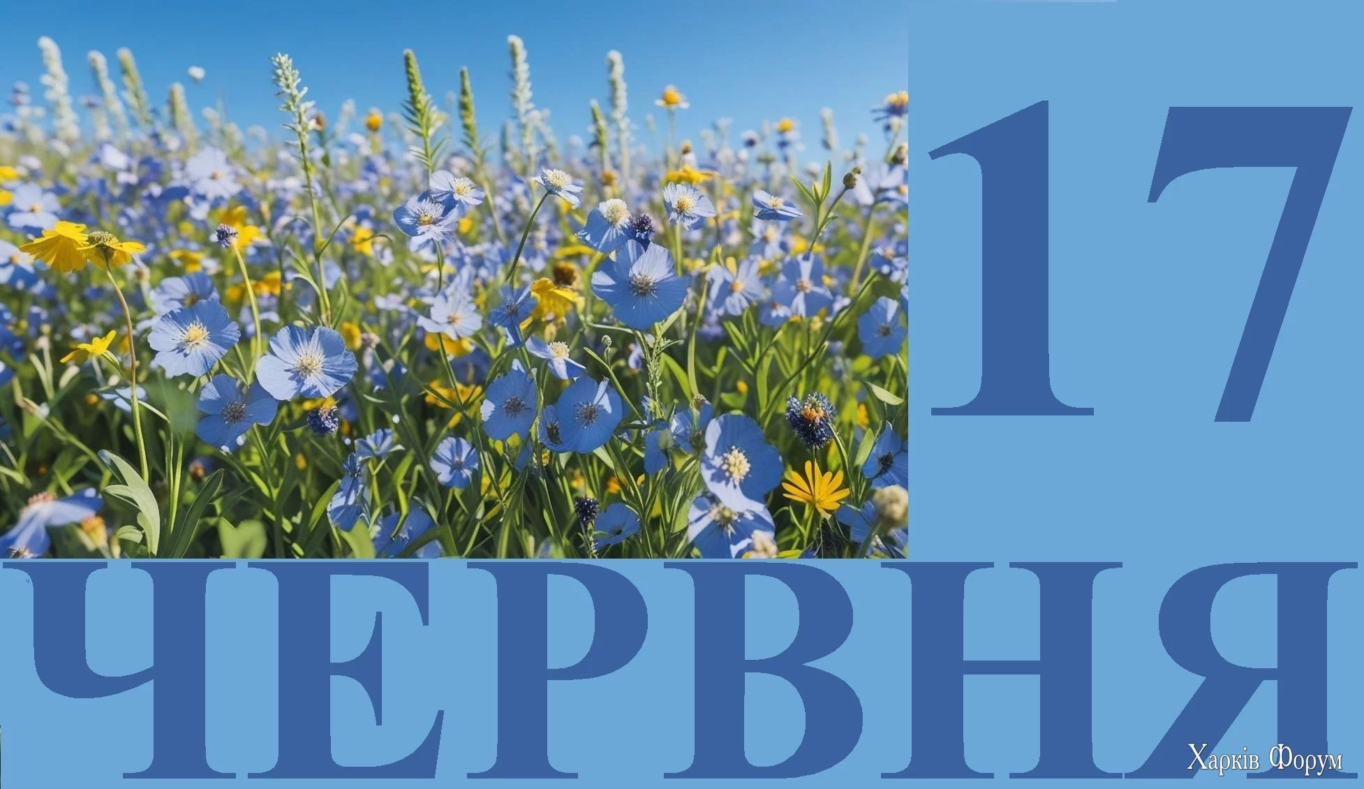 17-CHERVNYA.webp