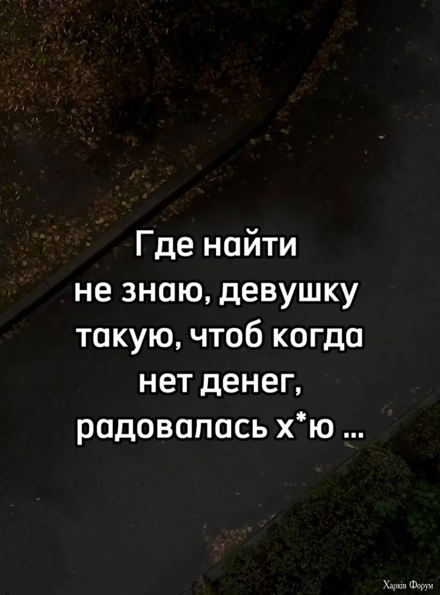 17.webp