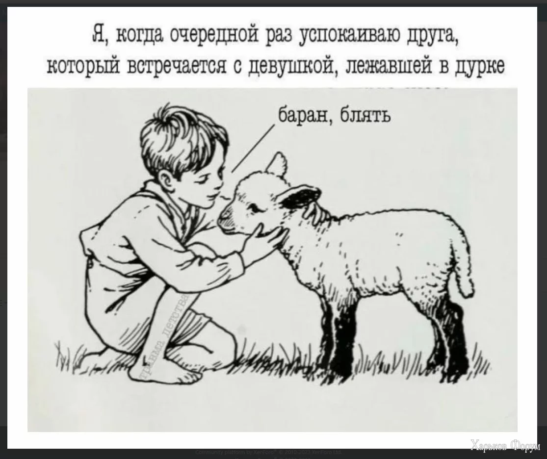 1700042366439.webp