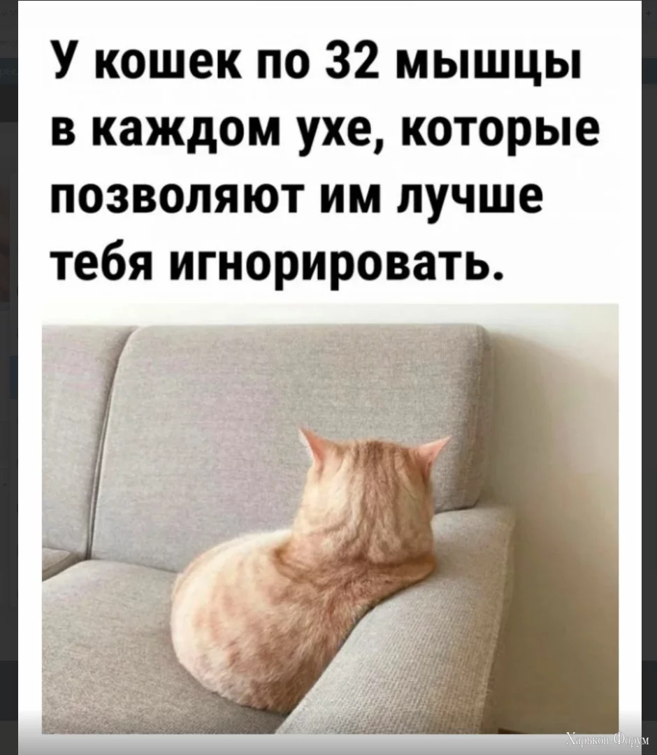 1700042560949.webp