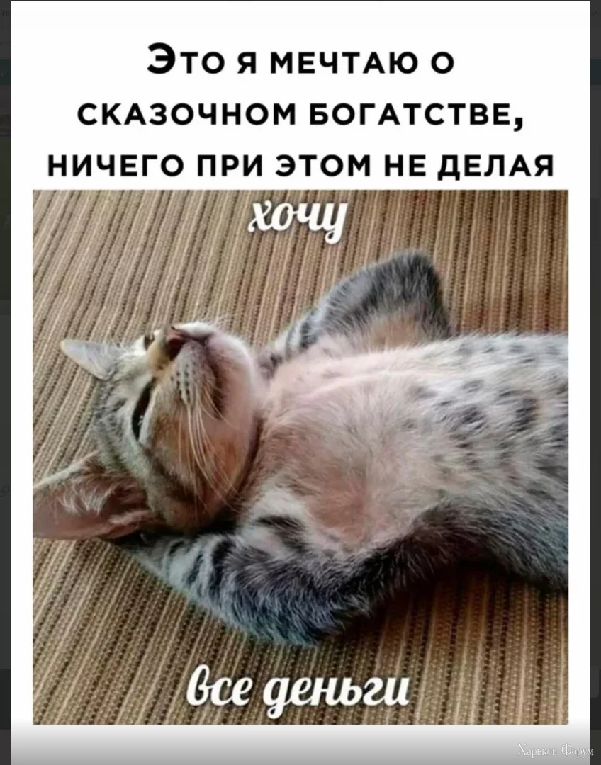 1700134069363.webp