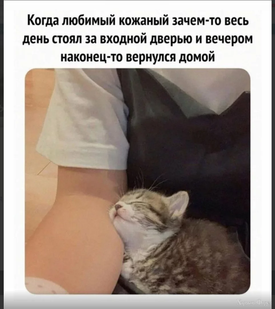1700134092422.webp