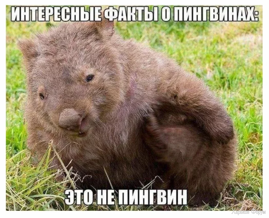 1700243194470.webp