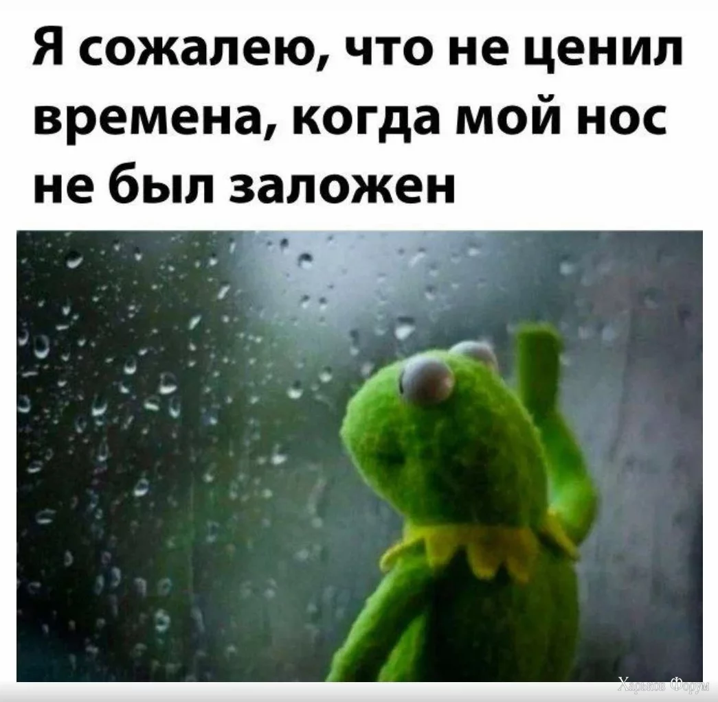 1700310023055.webp