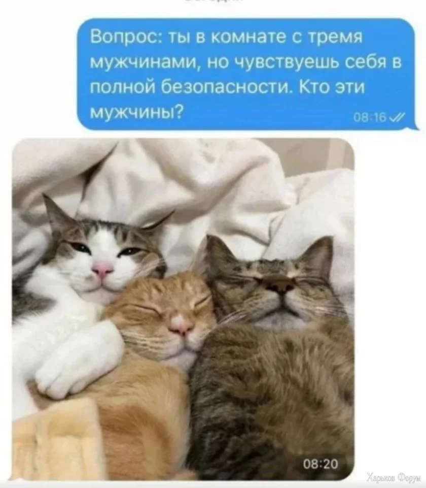 1700344756205.webp