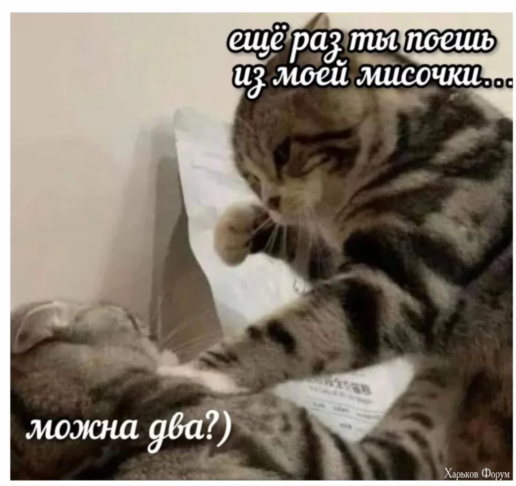 1700391745673.webp