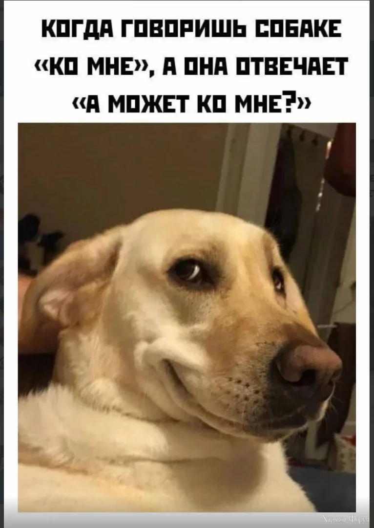 1700507122727.webp