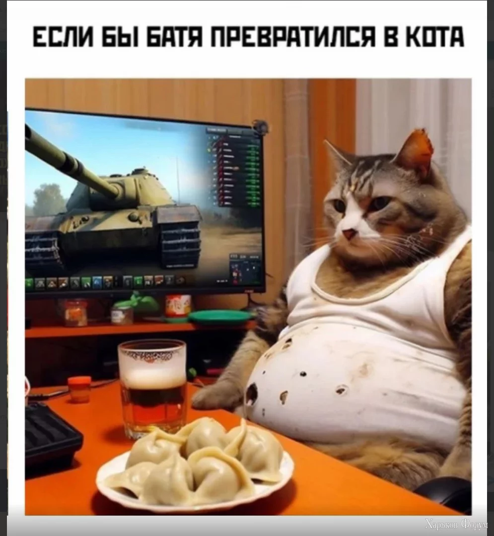1700658377766.webp