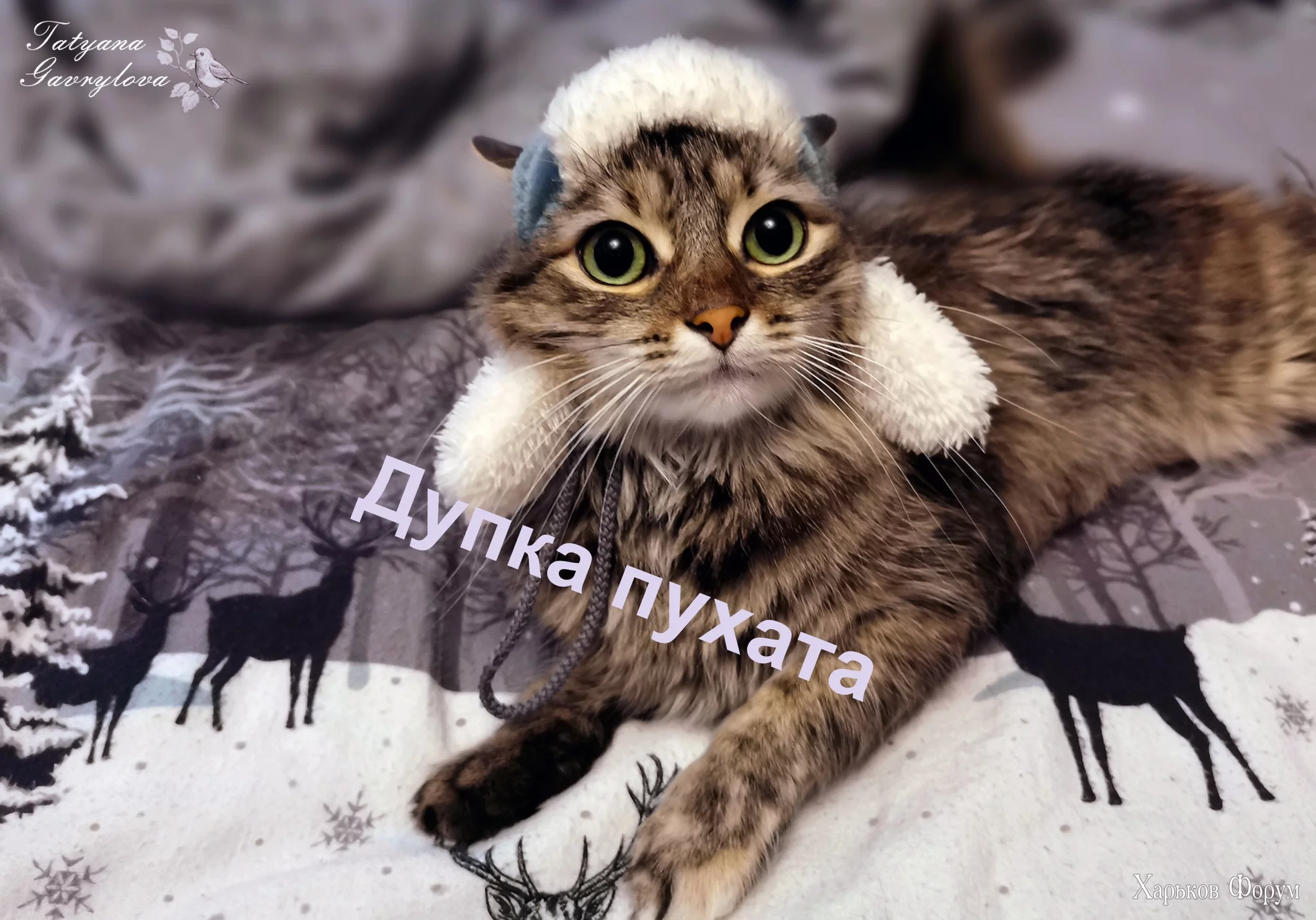 1700669242500.webp