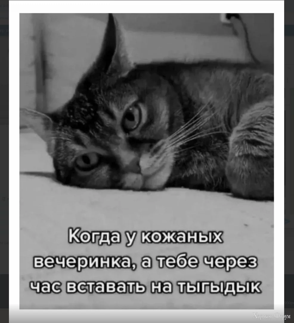 1700830350378.webp