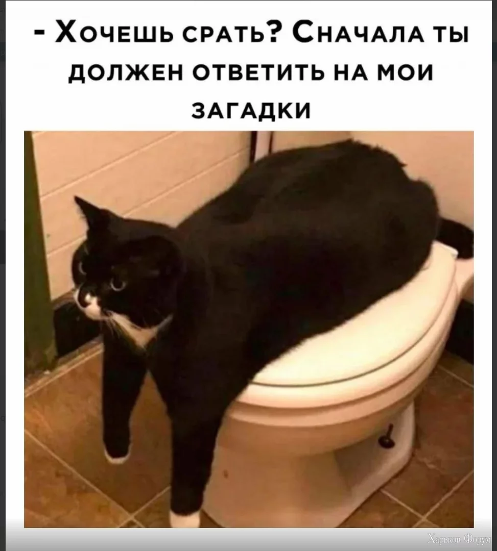 1701008751133.webp