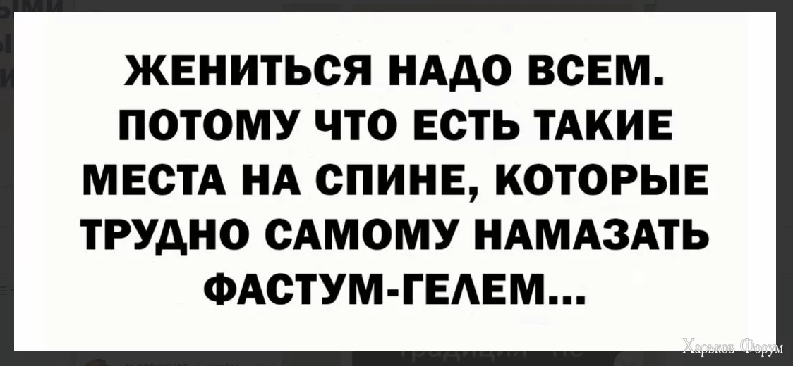 1701011568430.webp