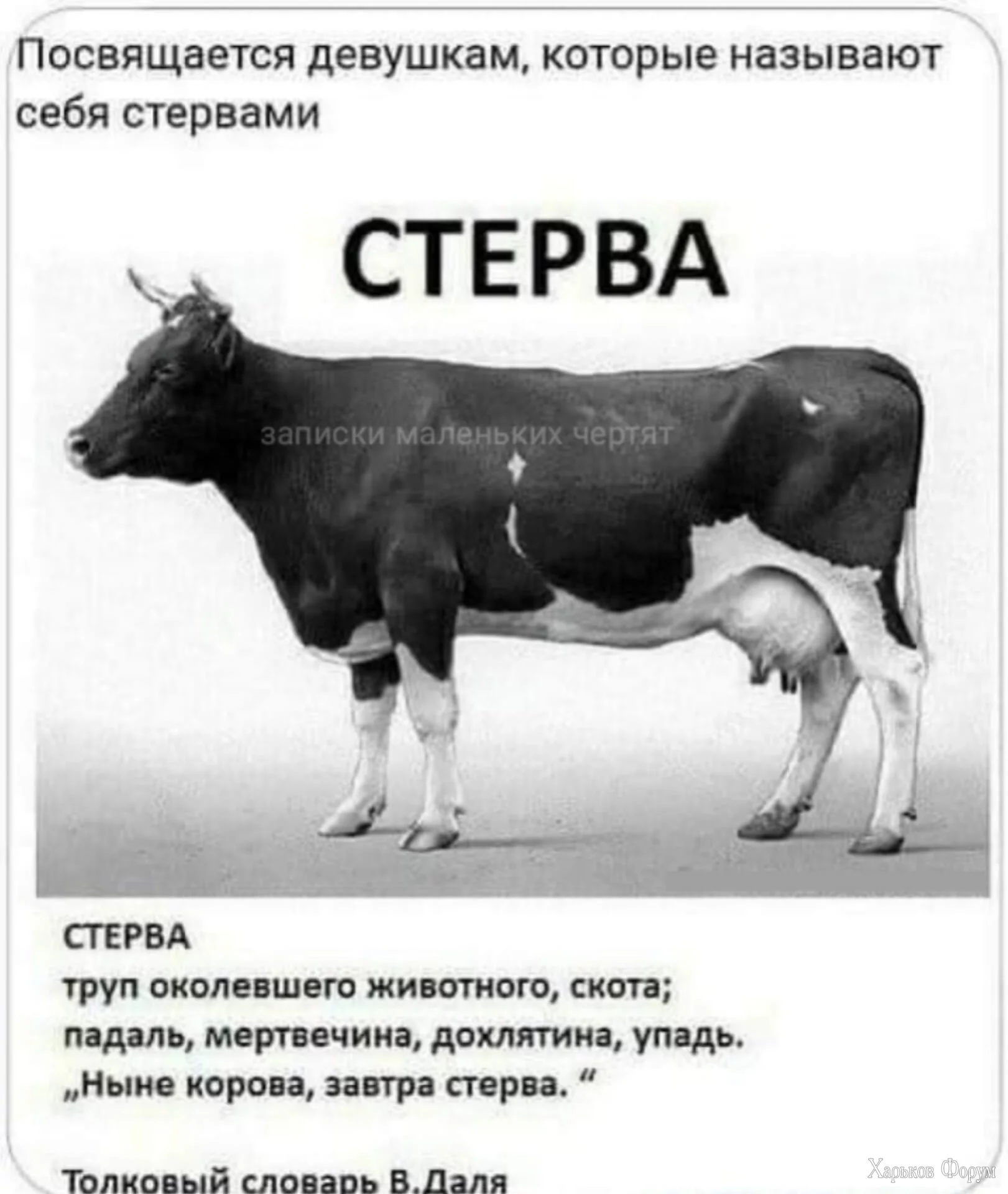 1701097711776.webp