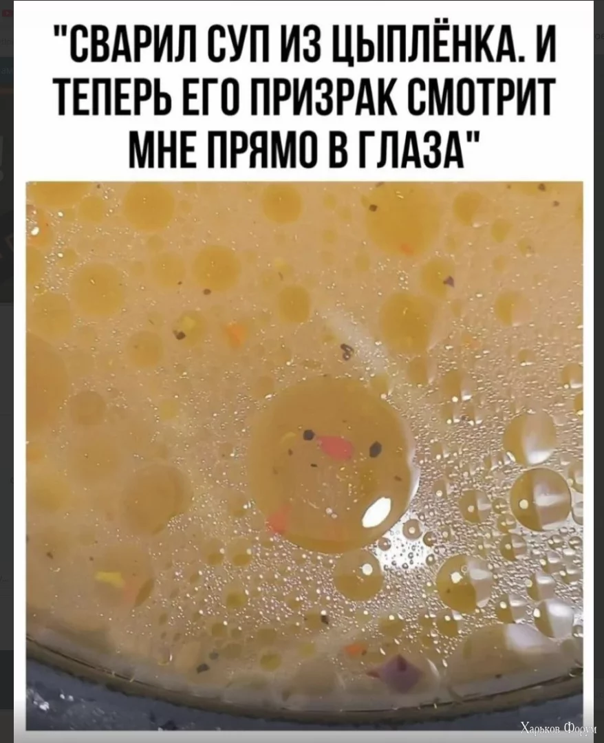 1701167404137.webp