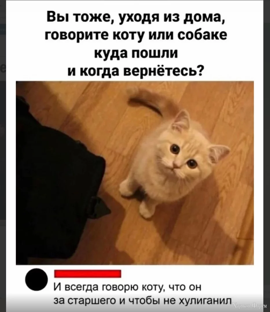 1701167515510.webp