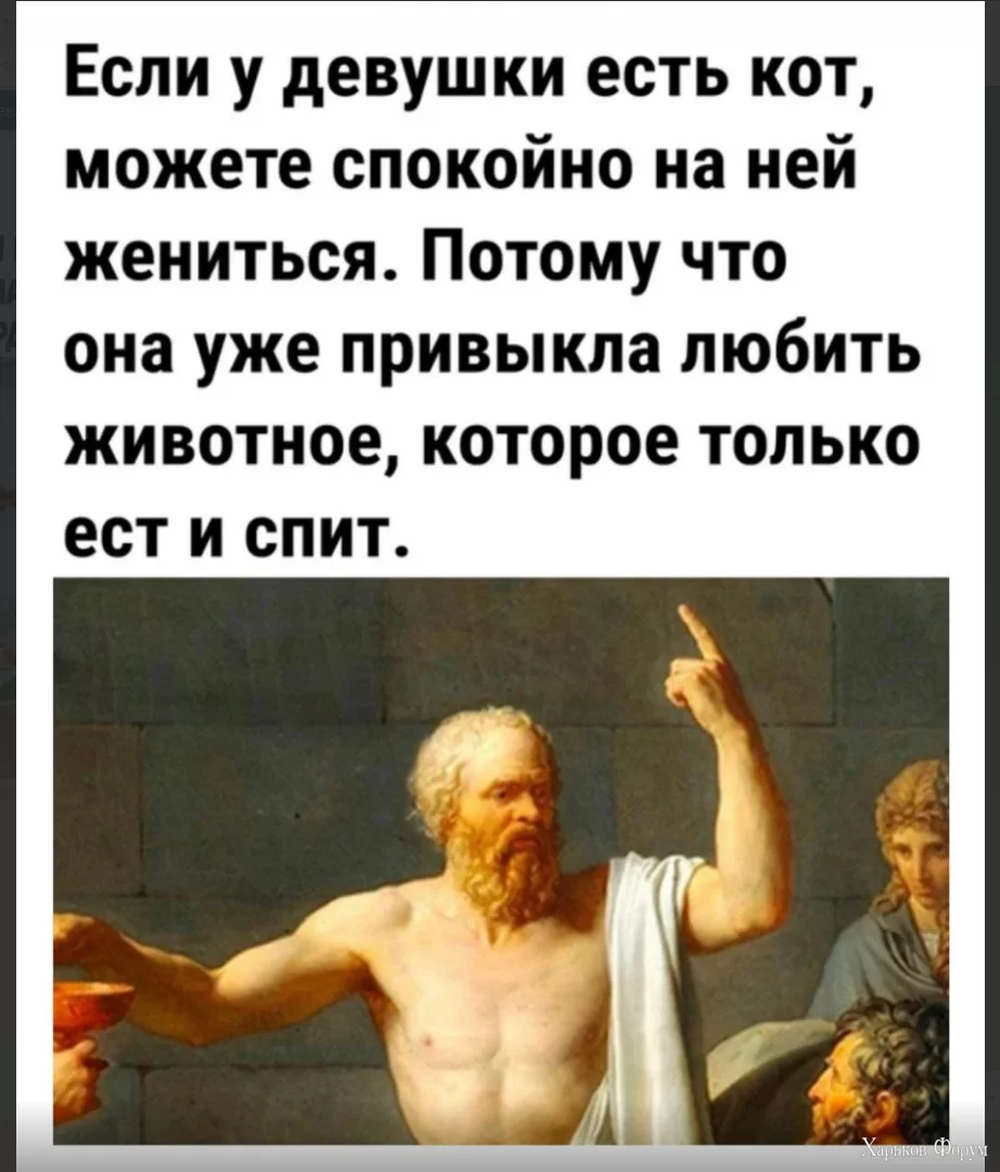 1701177278033.webp