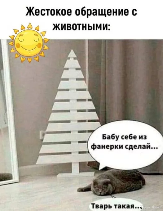 1701196647890.webp