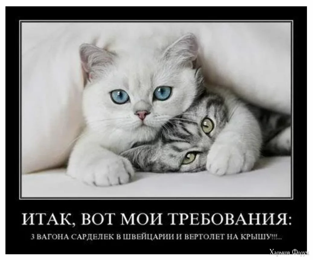 1701266544681.webp